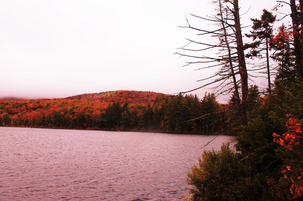 Photo: Towards Sugarloaf Mountain At Wakely Pond Photo: Towards Sugarloaf Mountain At Wakely Pond