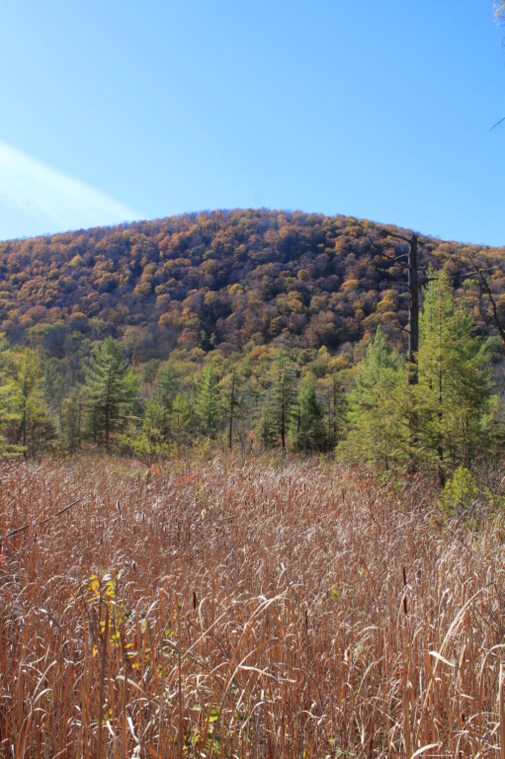 Photo: Labrador Mountain Photo: Labrador Mountain