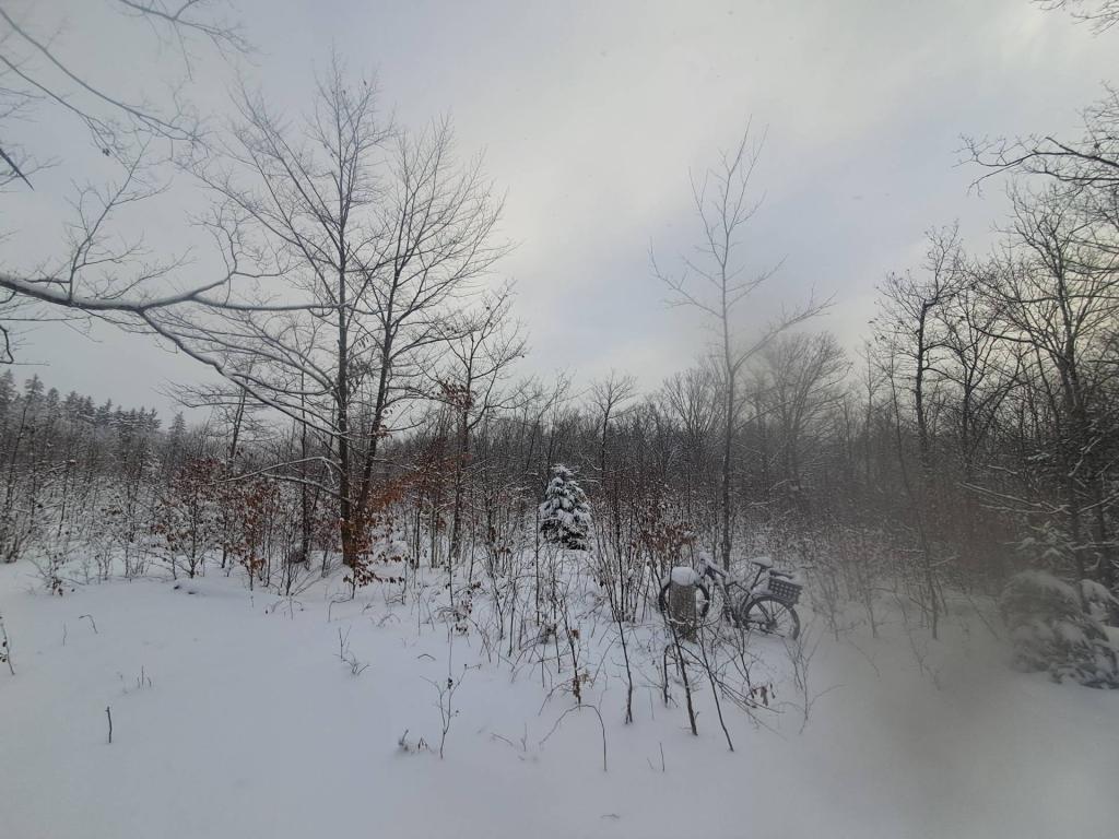 Photo: Snowy and cold morning!
