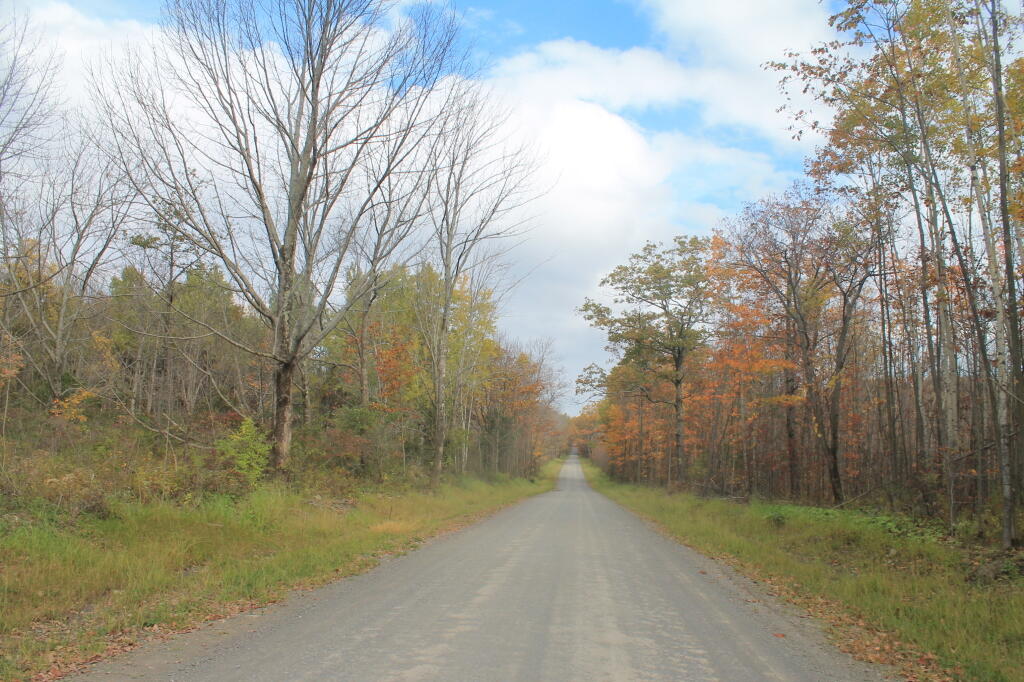 Photo: Potamac Road 1
