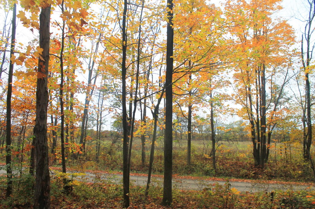 Photo: Pasture View from Campsite