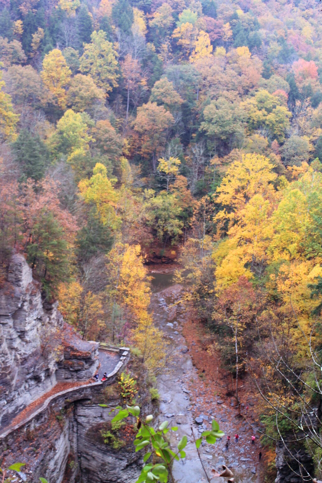 Photo: Gorge Trail Along Lucifer Falls
