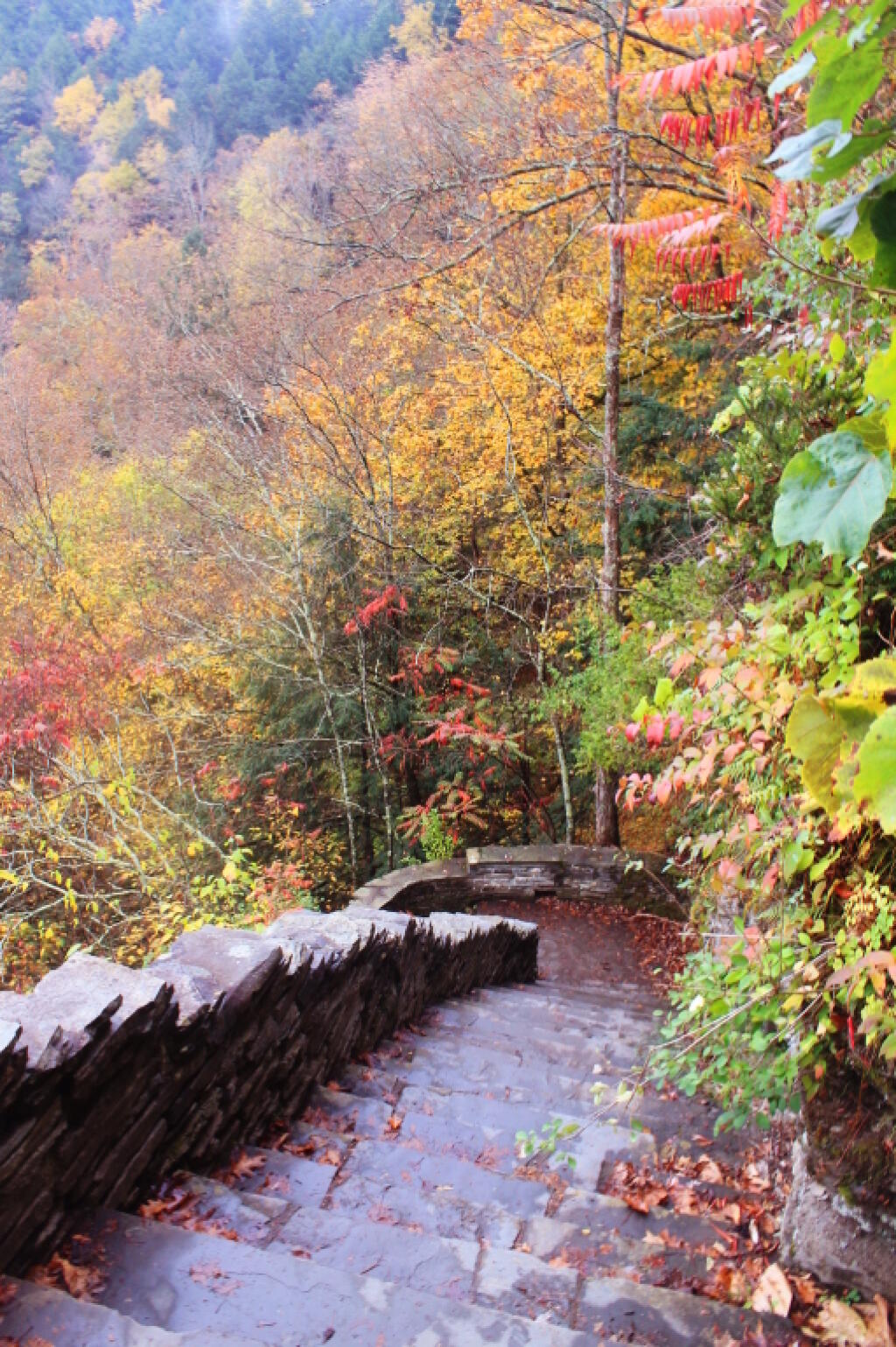 Photo: Fall Colors Along the Great Staircase