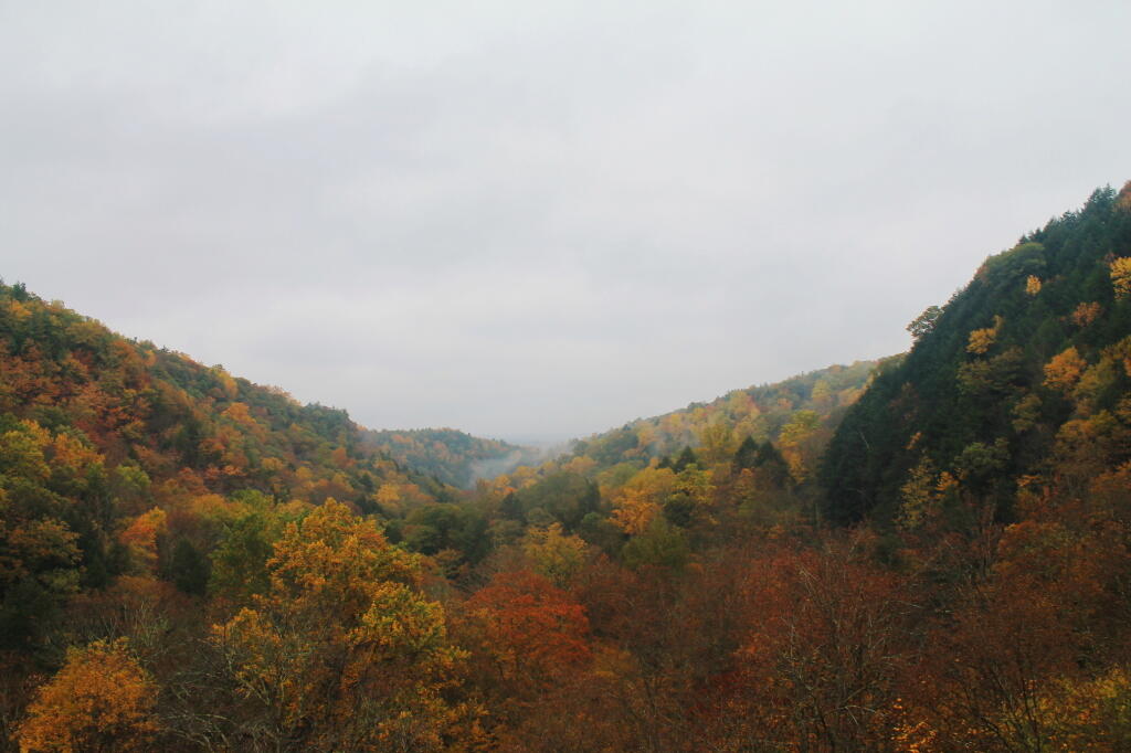Photo: Fog Rises