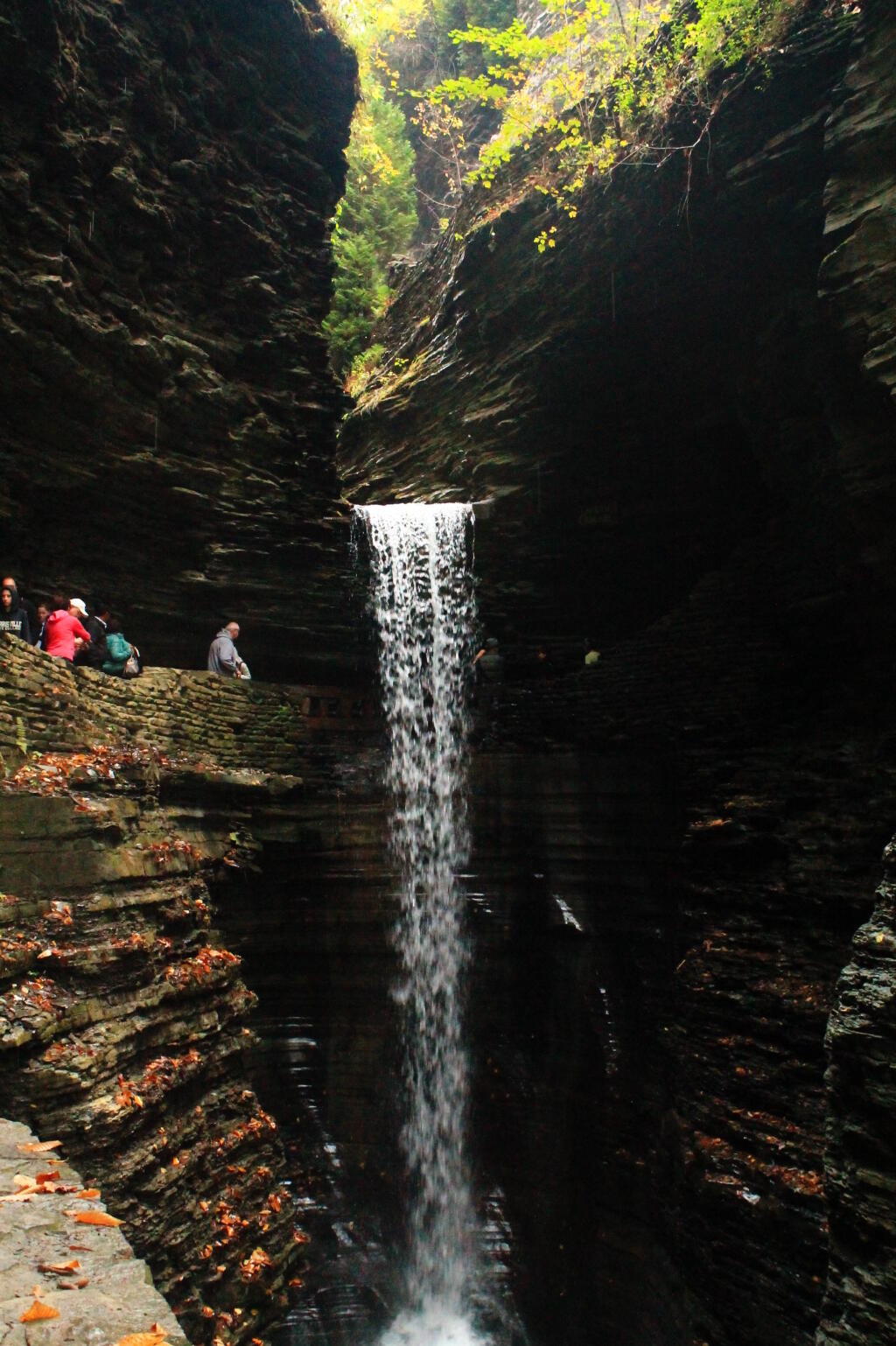 Photo: Spiral Tunnel Falls Photo: Spiral Tunnel Falls