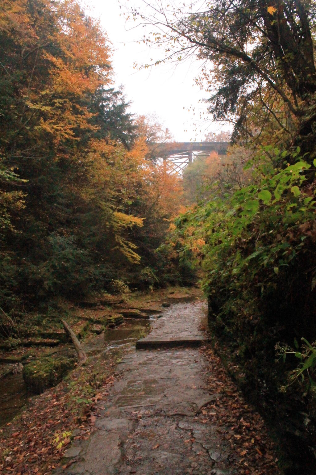 Photo: Railroad Bridge Photo: Railroad Bridge