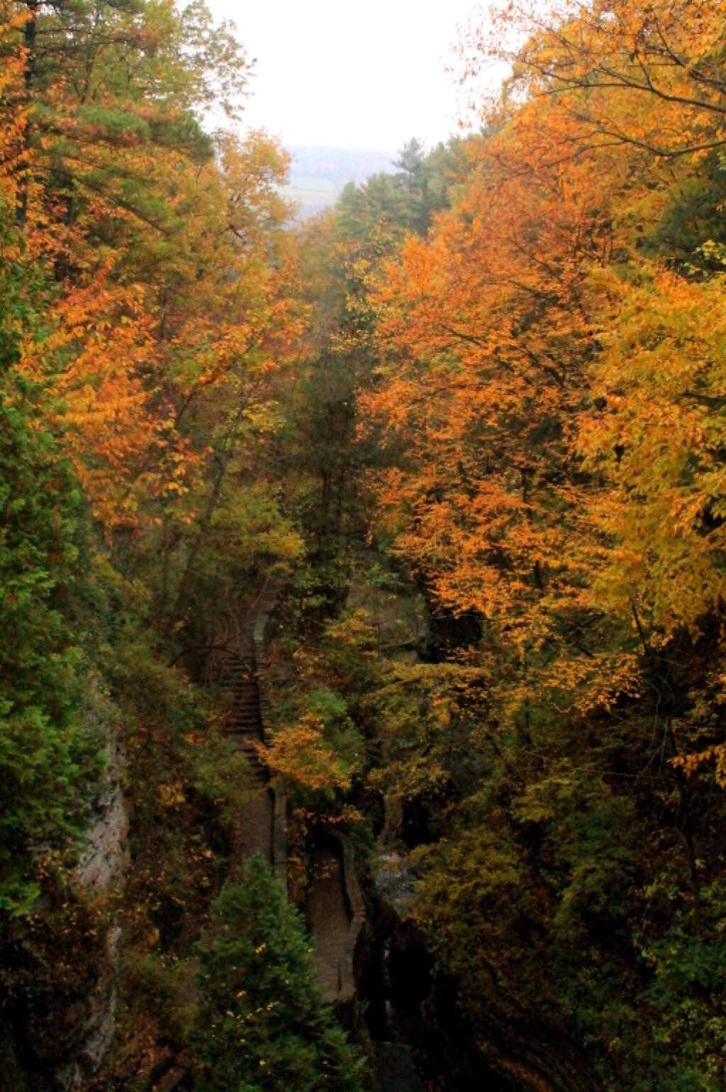 Photo: Fall Colors on Gorge