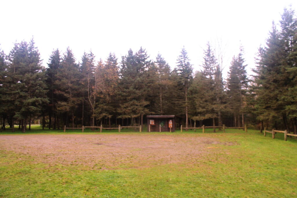 Photo: Parking Area