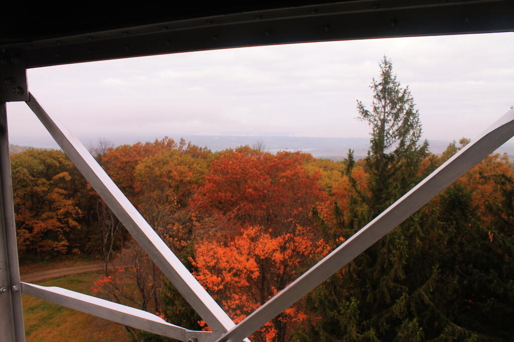 Photo: From the Top