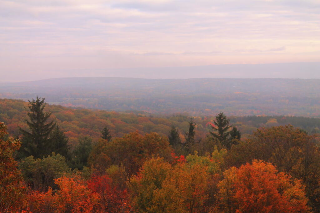 Photo: Towards Seneca Lake