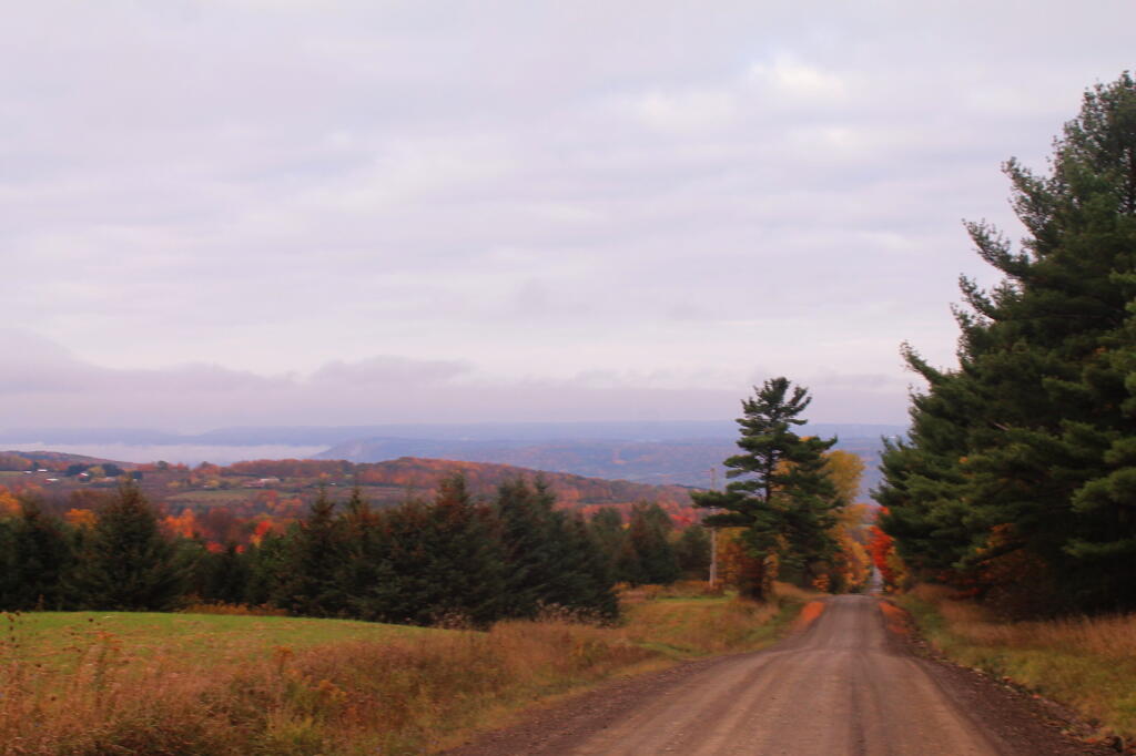 Photo: Cloudy Fall Day on Wollock Road