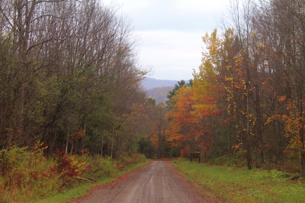 Photo: Heading Out of the Mountains