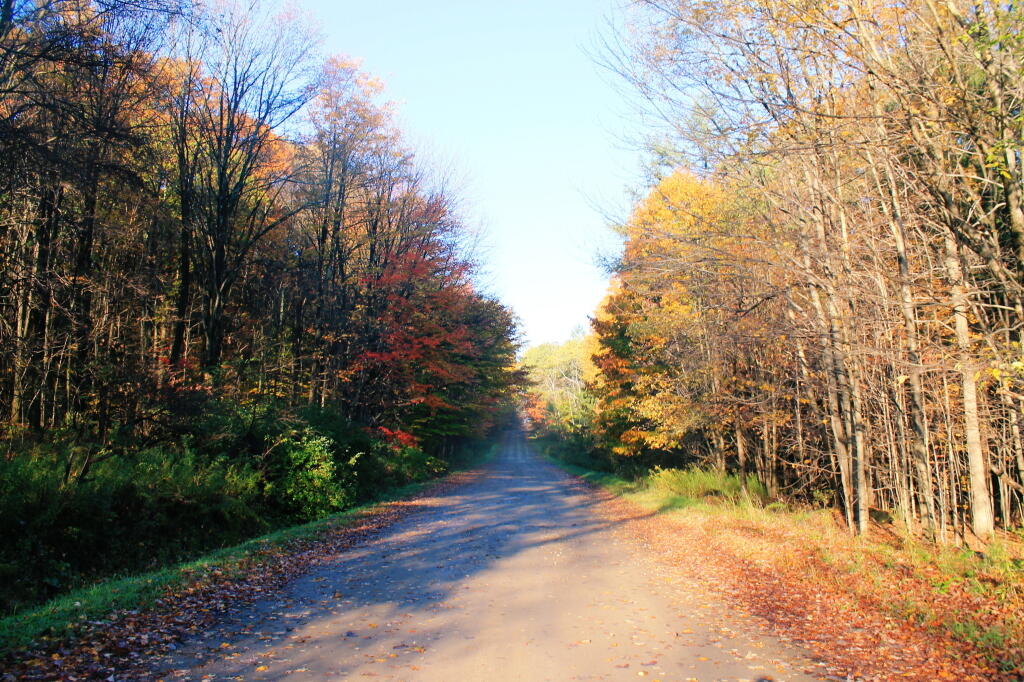 Photo: Krager Hill Road