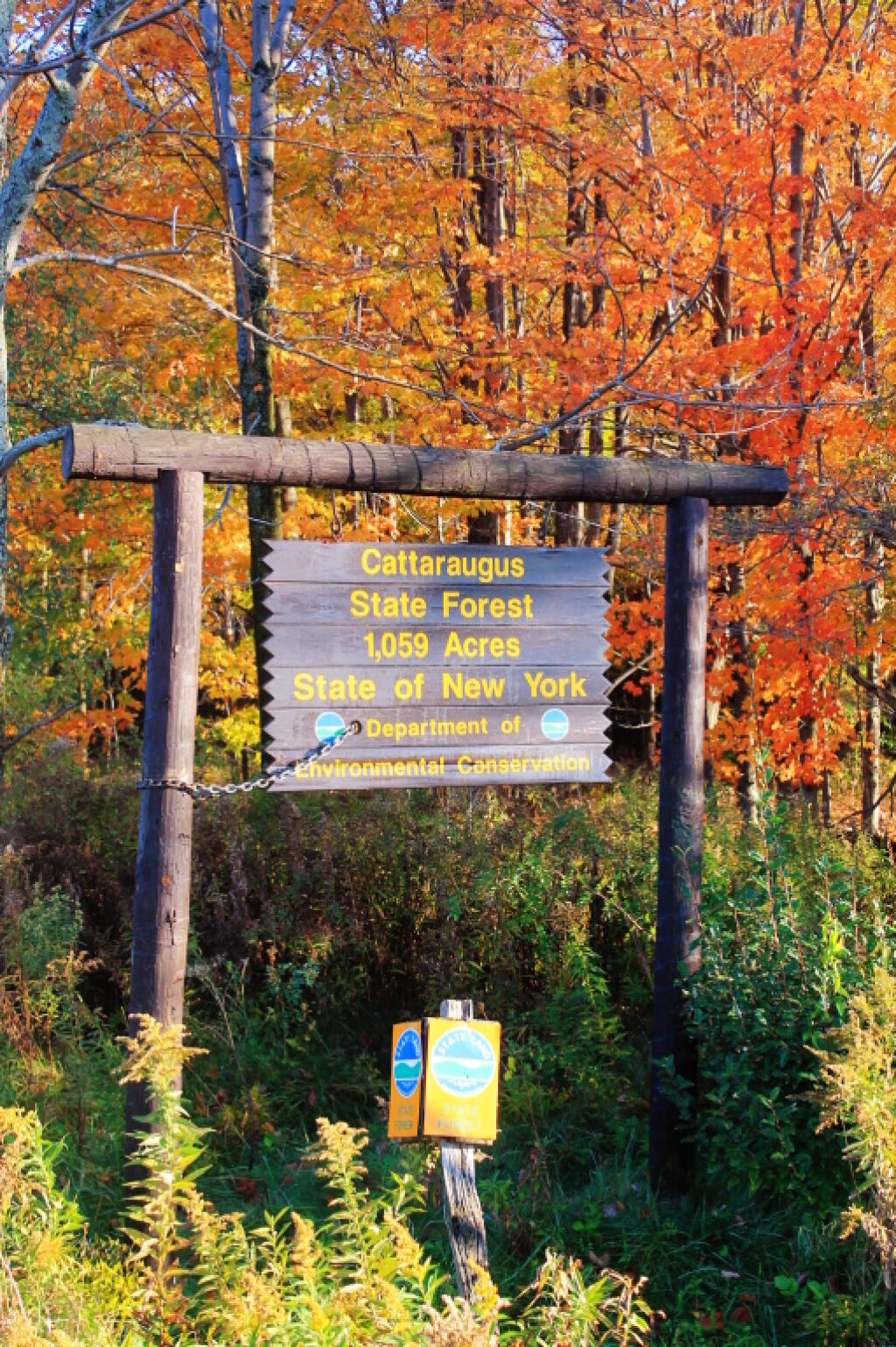 Photo: Cattaraugus State Forest Sign