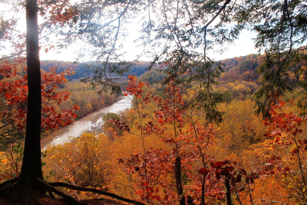 Photo: Cattaragus Creek From Pinnacle Point