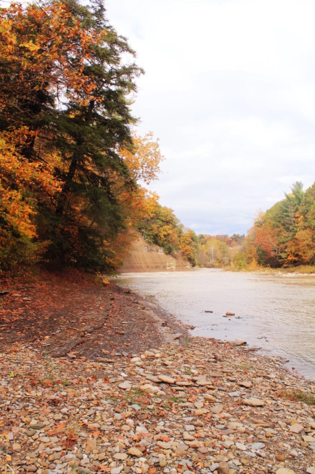 Photo: Further Up The River