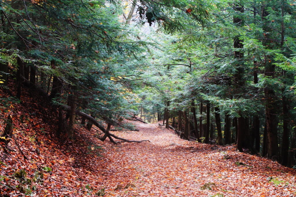 Photo: Dead End Gorge Trail