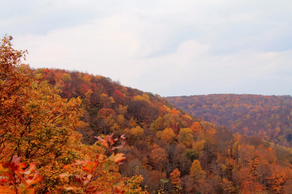 Photo: Hills Photo: Hills