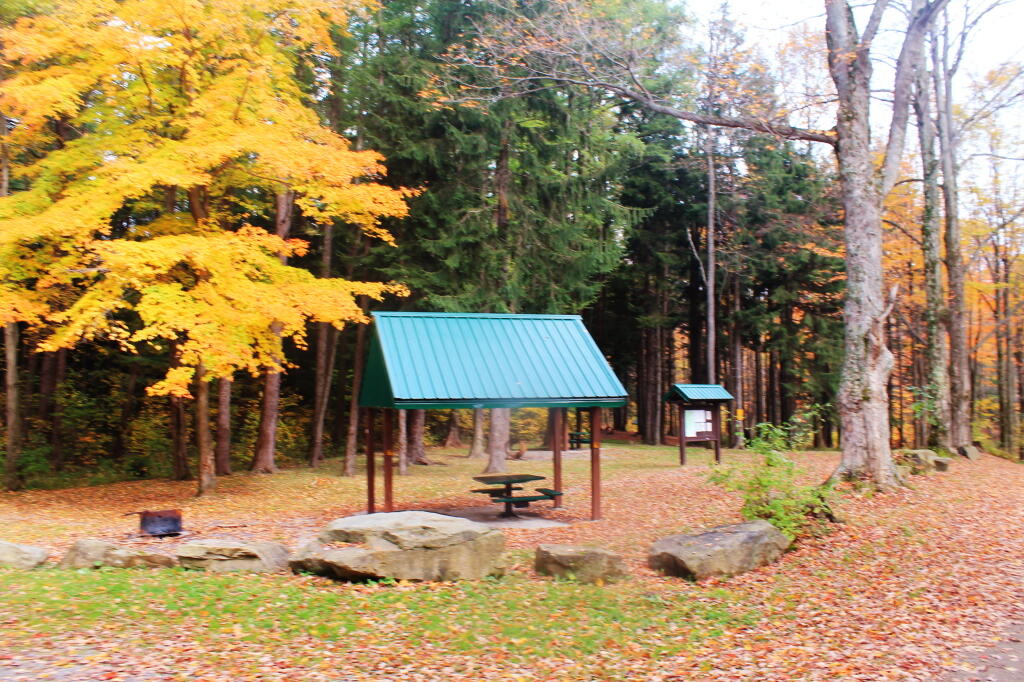 Photo: Picnic Pavlion