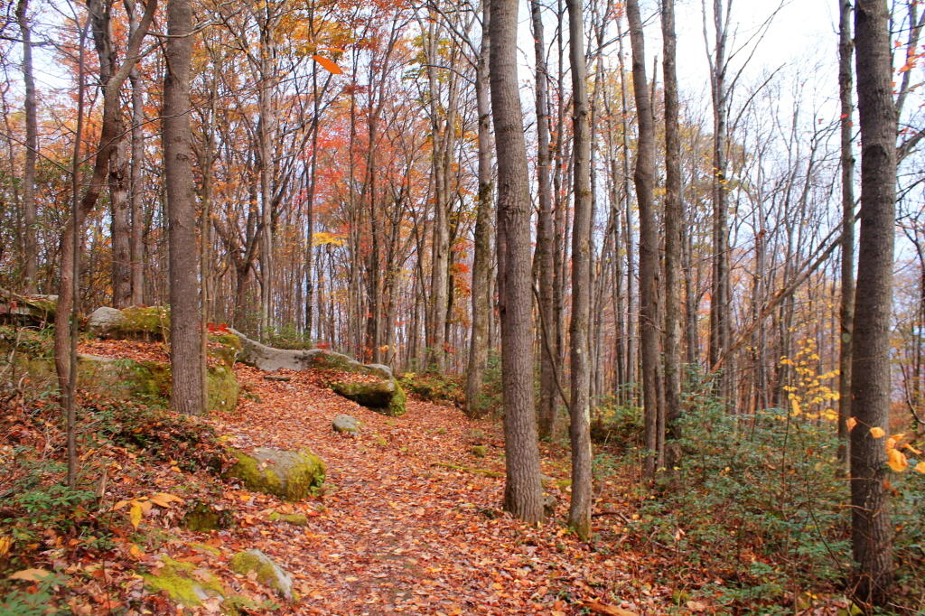 Photo: Walking At Jakes Rocks