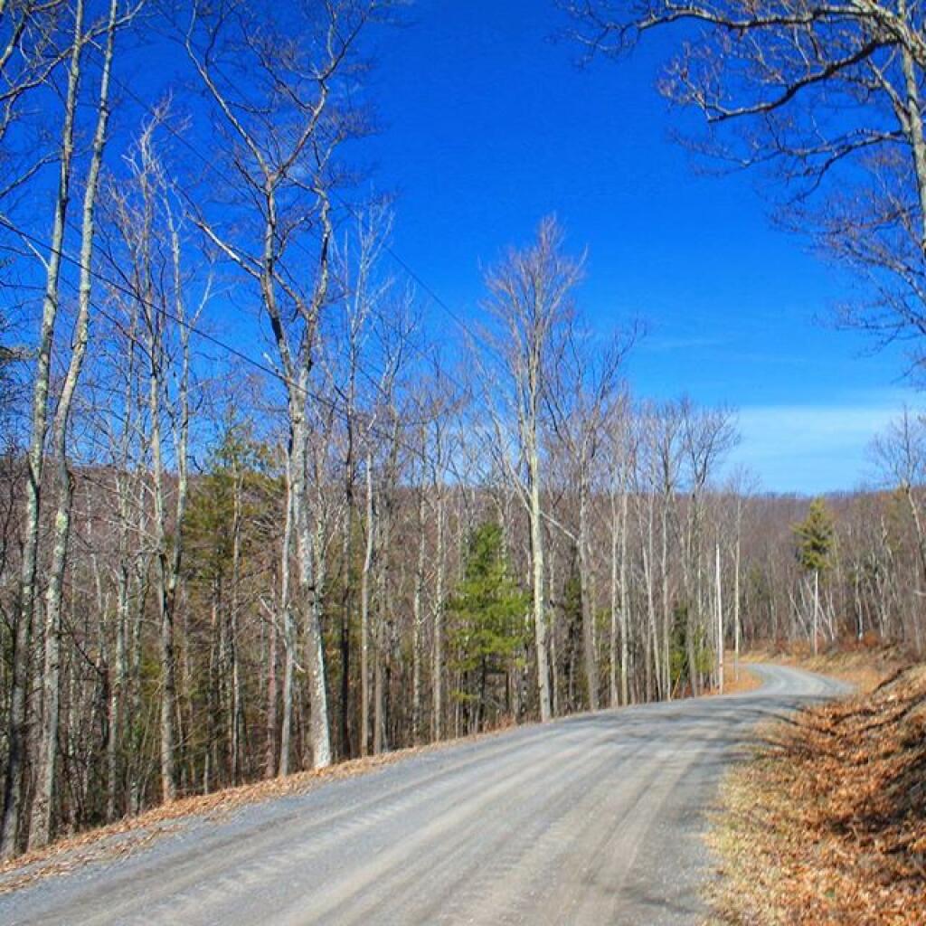 Photo: Lower Cotton Hill Road