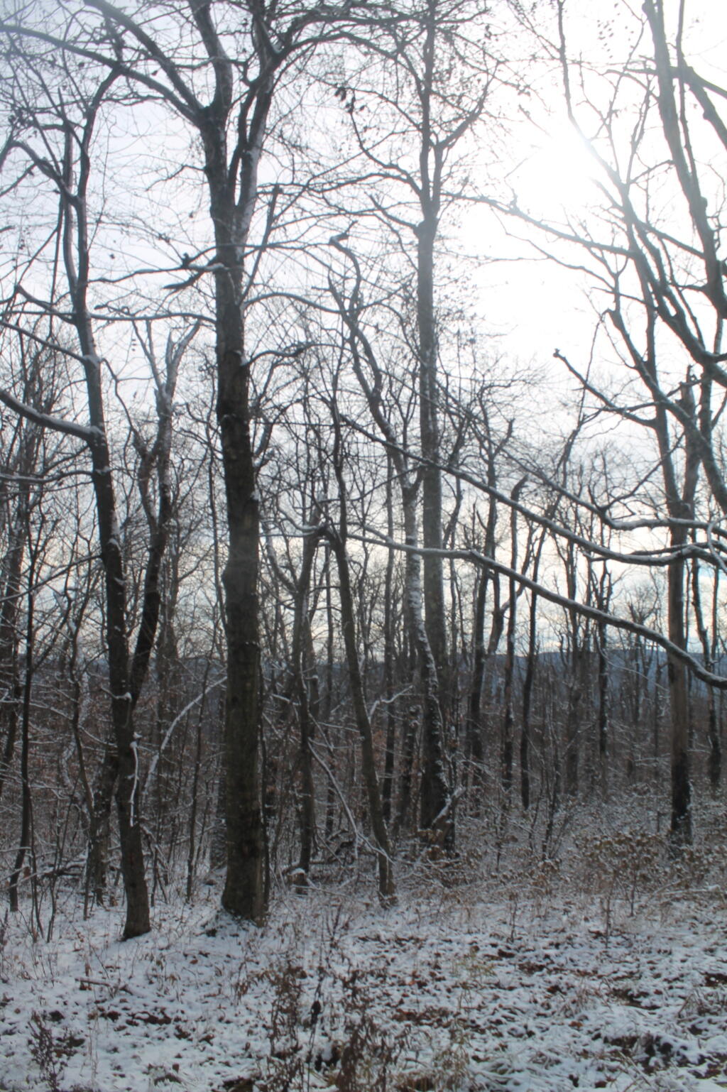 Photo: Looks Like Winter