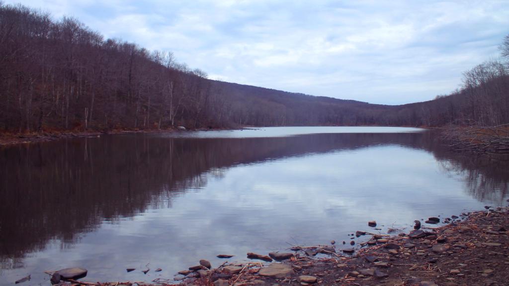 Photo: Trout Pond