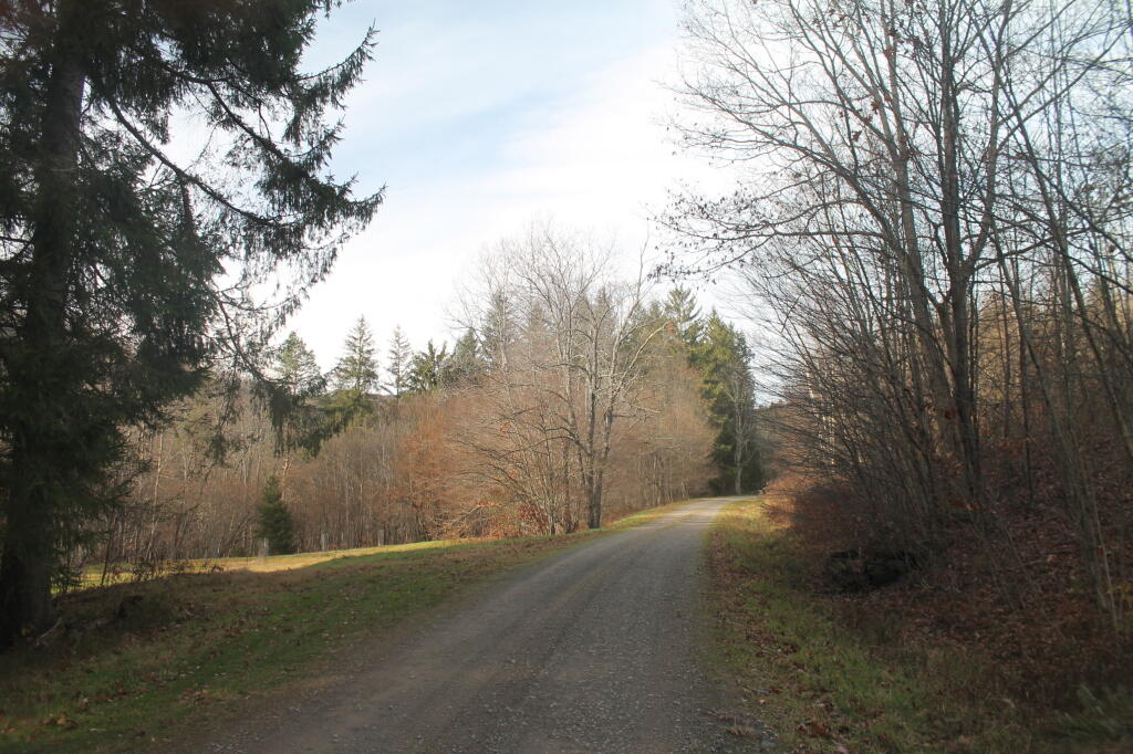 Photo: West Trout Brook Road