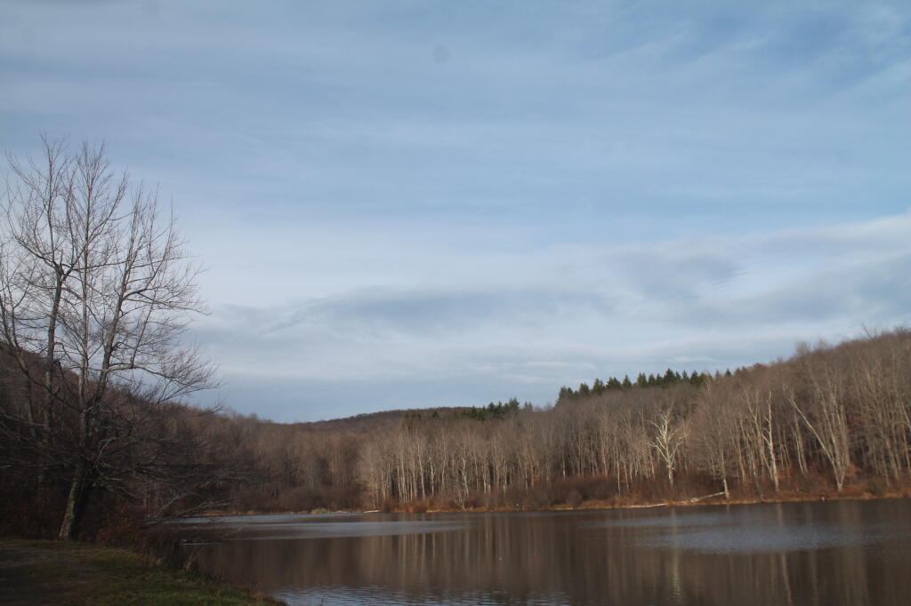 Photo: Russ Grey Pond