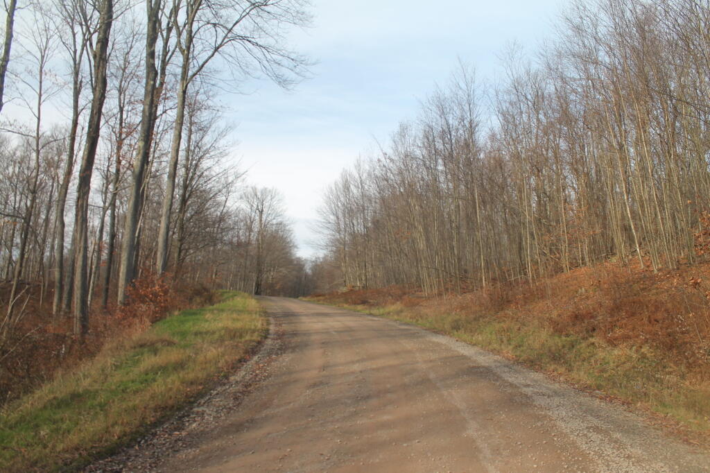 Photo: Beers Brook Road