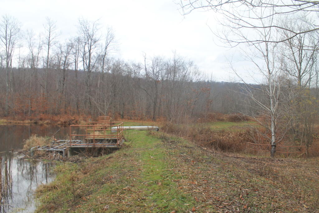 Photo: Berm Holding Back Lake
