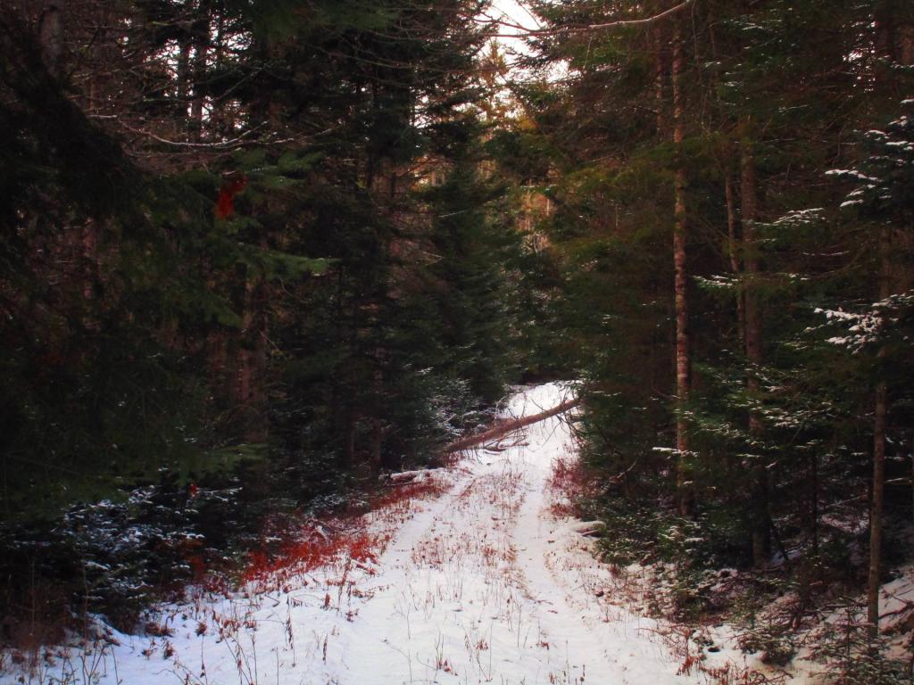 Photo: Riding along the Roosevelt Truck Trail