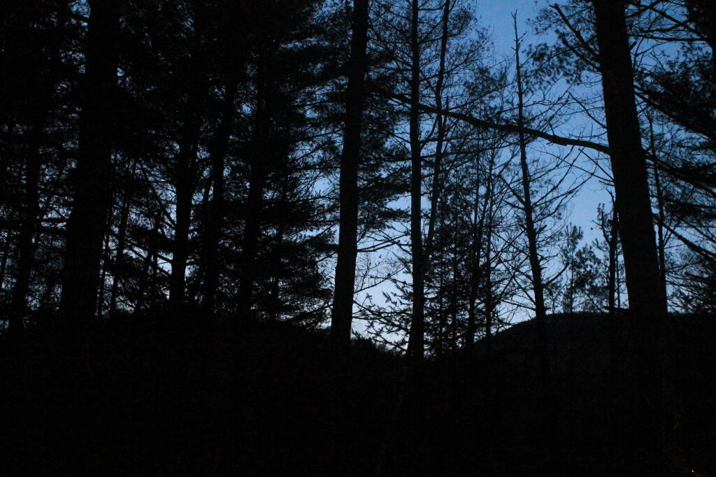 Photo: Darkness Sets In Over Siamese Pond Wilderness