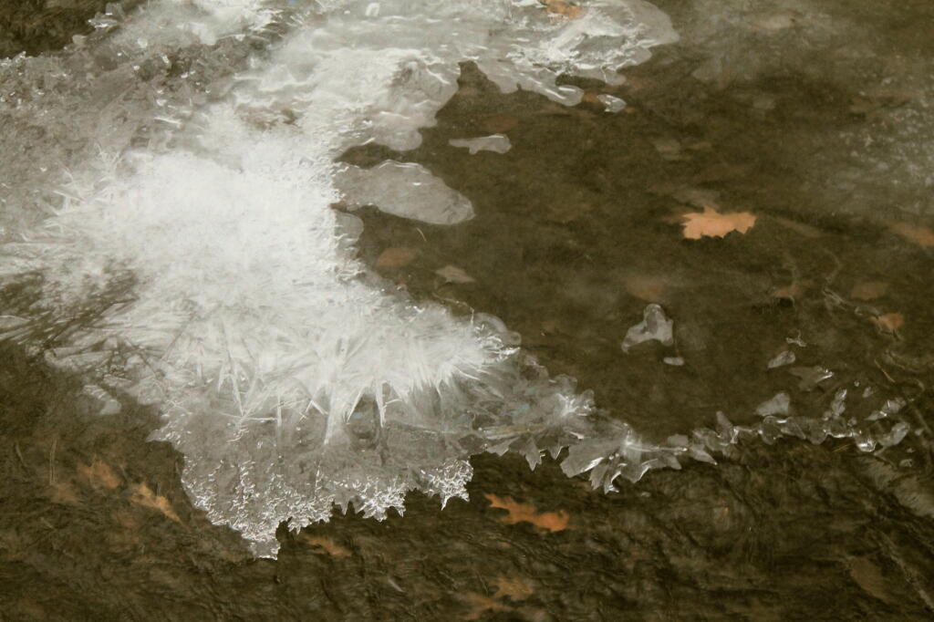 Photo: Ice Pattern