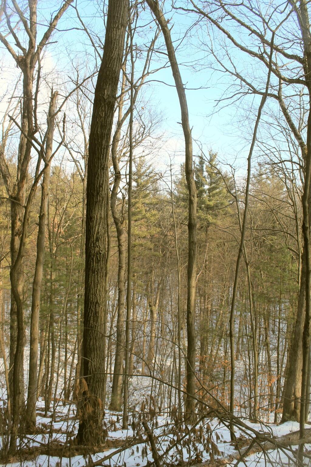 Photo: Towards the Hunger Kill