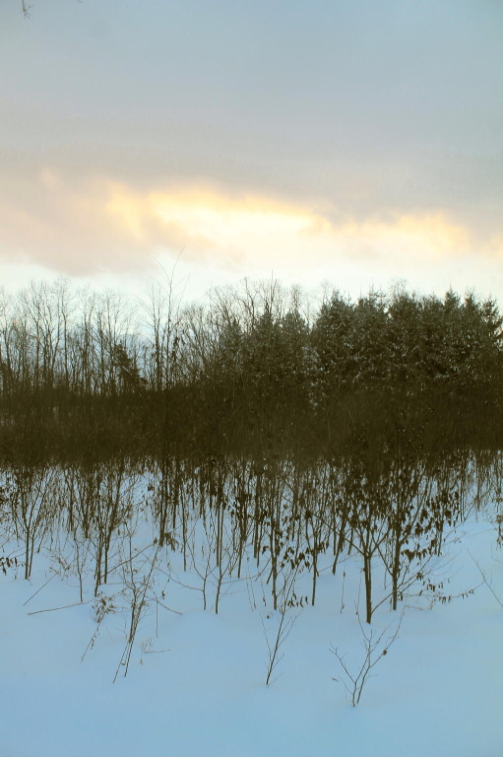 Photo: Colors