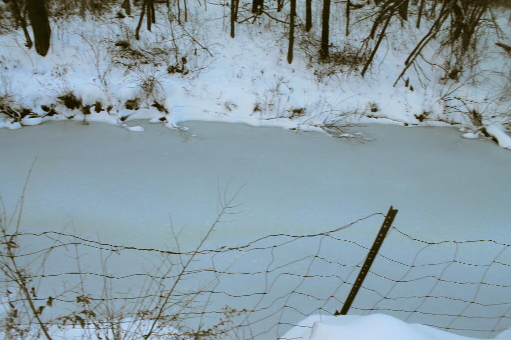 Photo: Ice Covered Creek