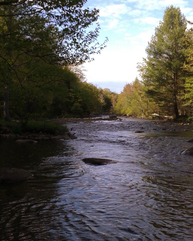 Photo: Black River flows