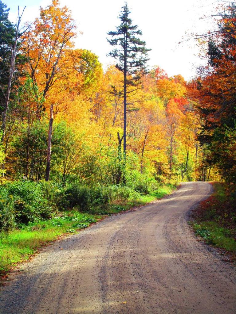 Photo: Jessup River Road