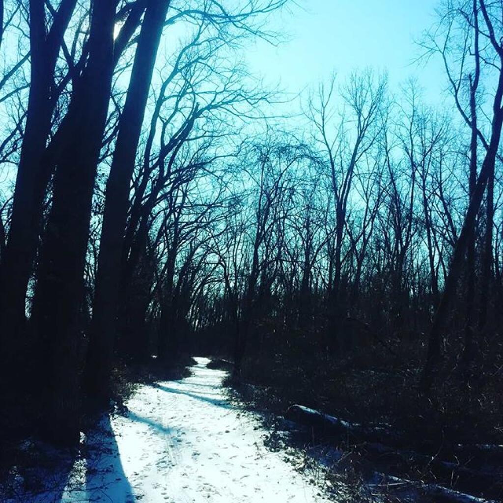Photo: Shadows