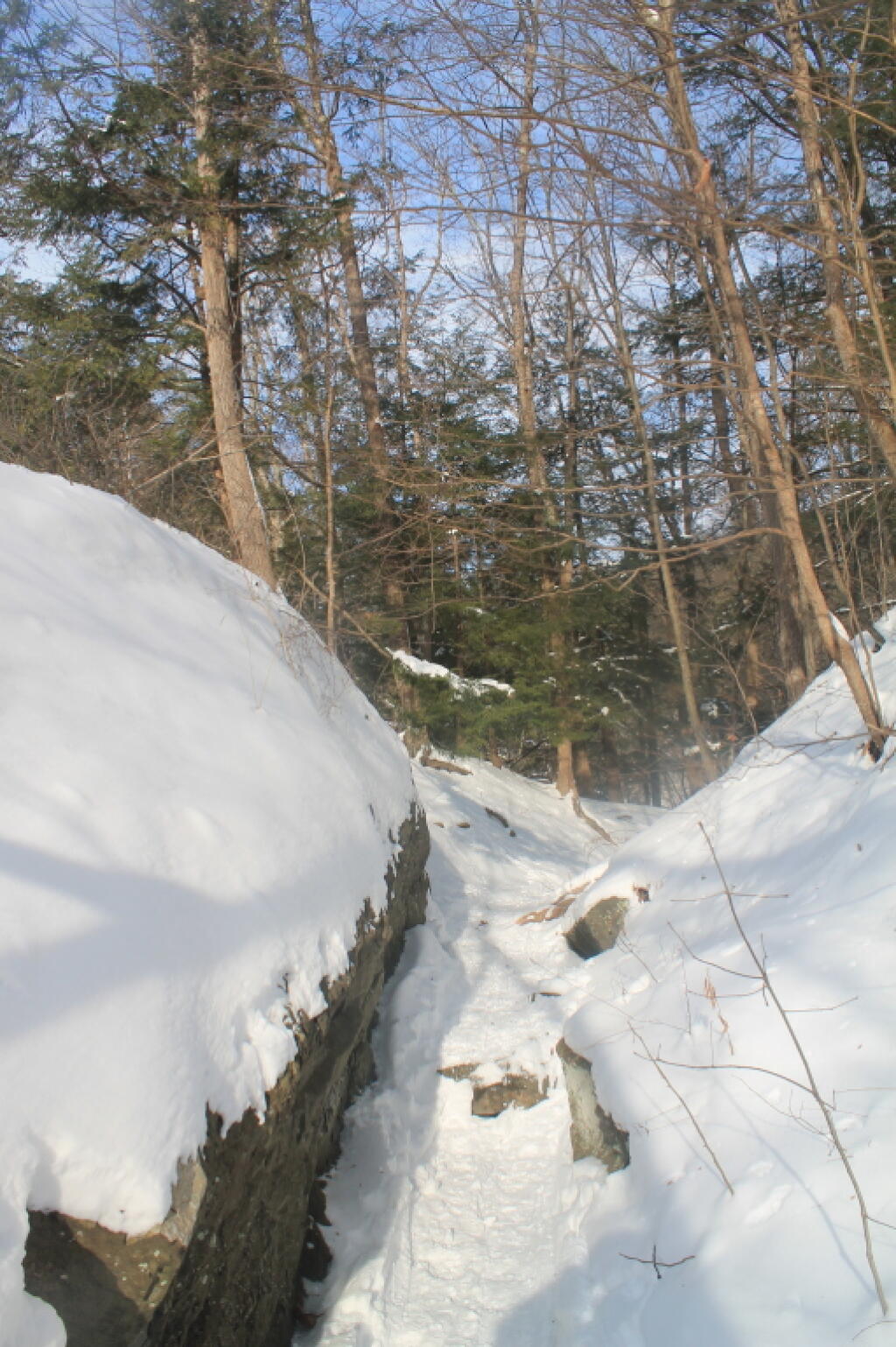 Photo: Dry Flume in the Rocks