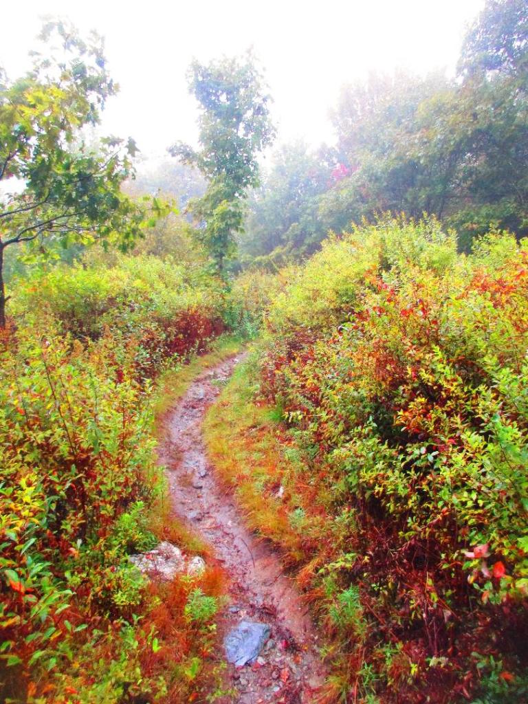 Photo: Hiking in the Rain Photo: Hiking in the Rain
