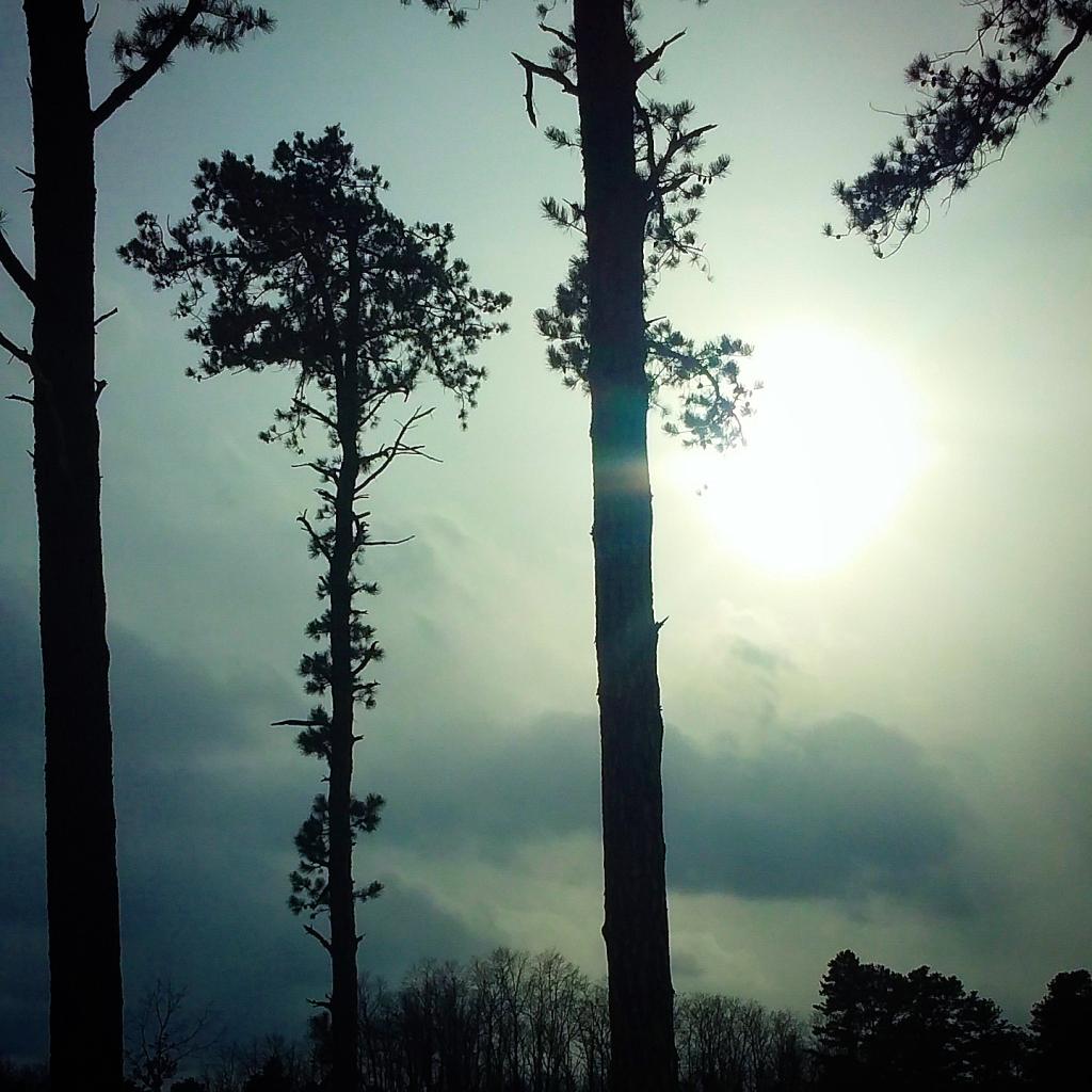 Photo: Breaking through