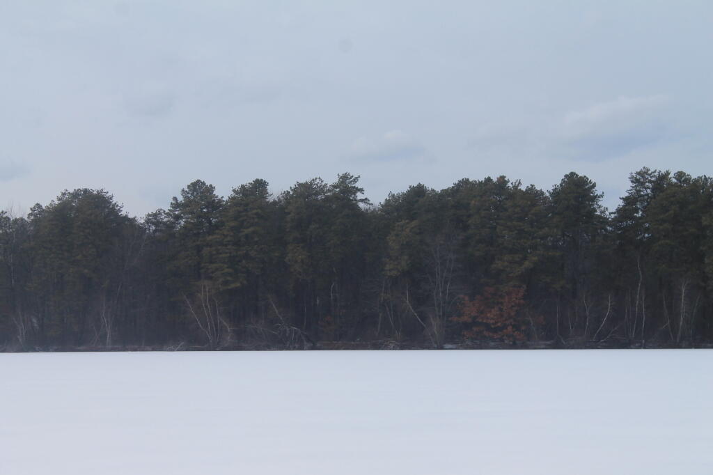 Photo: Across the Lake