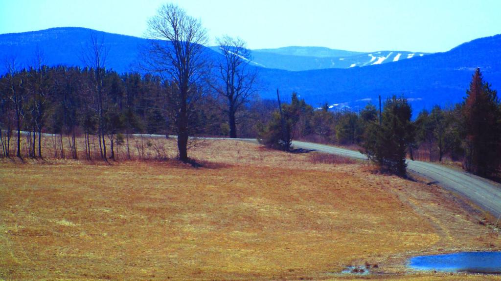 Photo: Travis Hill Road