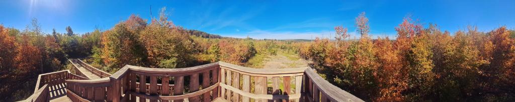 Photo: New Observation Deck - Wide Screen