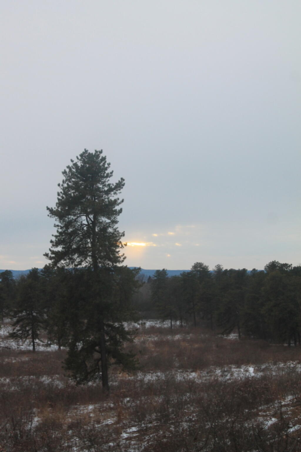 Photo: Photo.2014.01.19 18.29.49