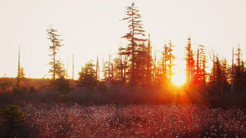 Photo: Sunrise in Canaan Heights