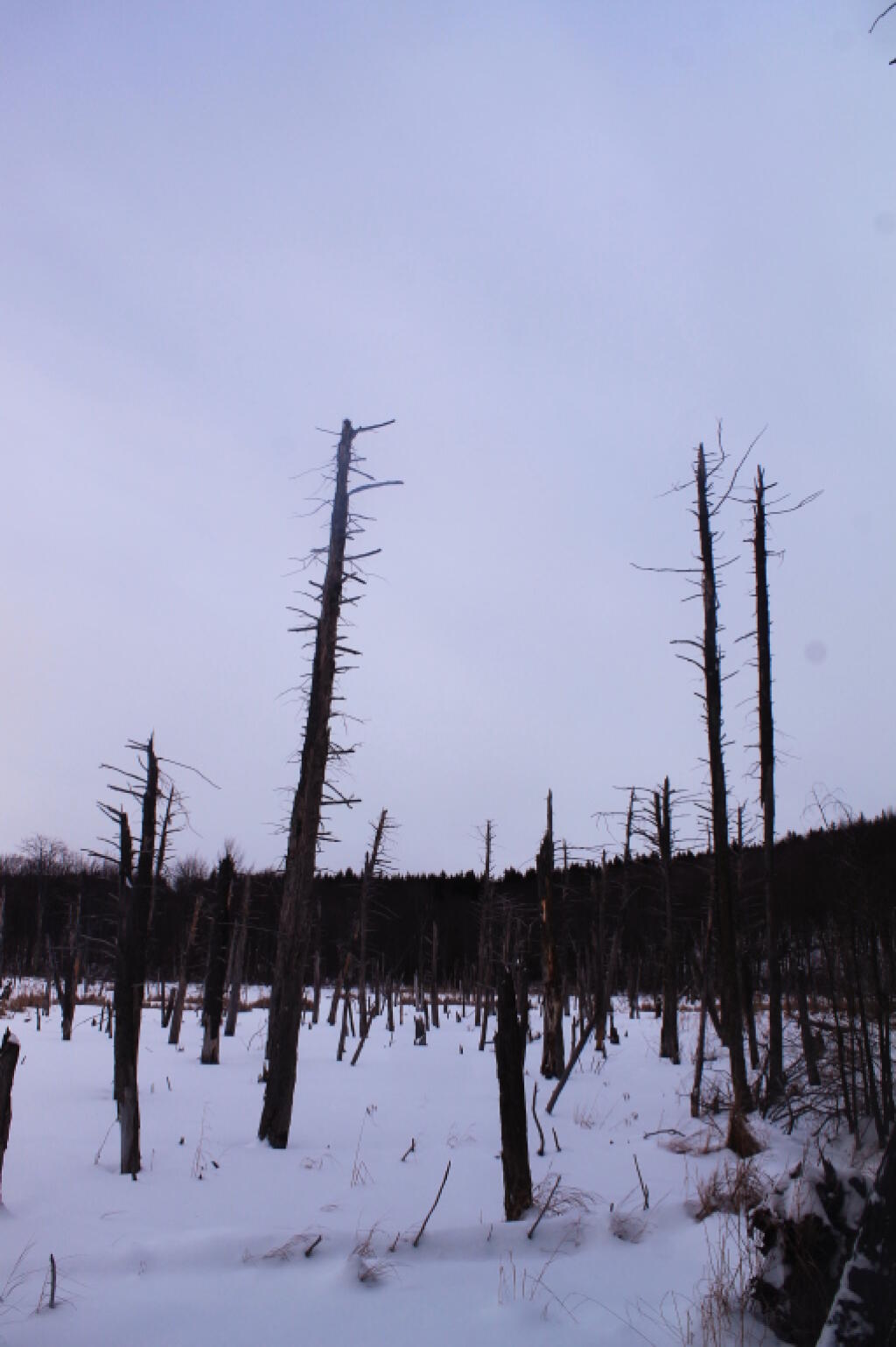 Photo: Photo.2014.02.08 17.59.31