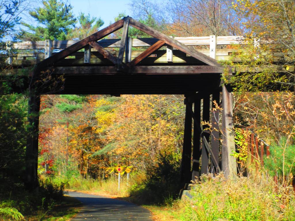 Photo: East Pine Street Bridge